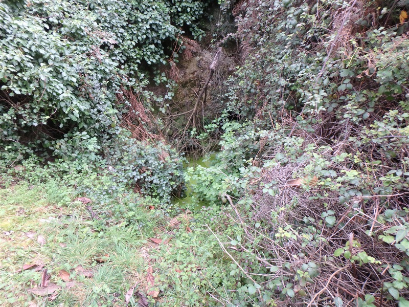 Quinta  Seia, São Romão - 1239153 - 13