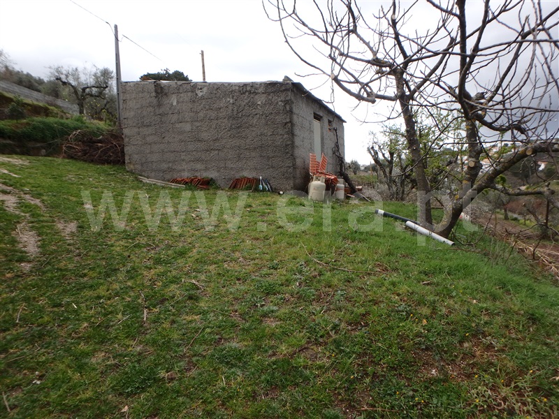 Quinta  Seia, São Romão - 1239153 - 14