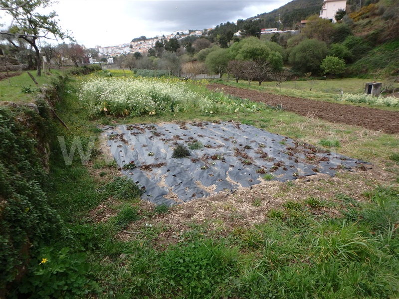Quinta  Seia, São Romão - 1239153 - 18