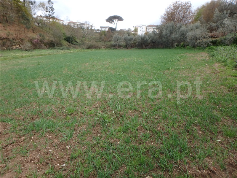 Quinta  Seia, São Romão - 1239153 - 19