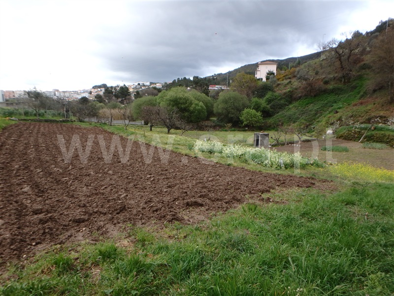Quinta  Seia, São Romão - 1239153 - 21