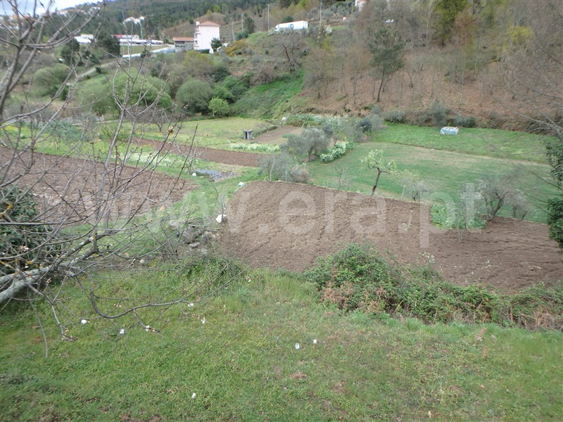 Quinta  Seia, São Romão - 1239153 - 32