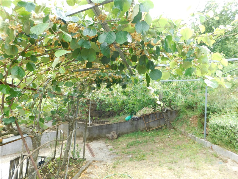 Quinta  Seia, Sazes da Beira - 1334097 - 3