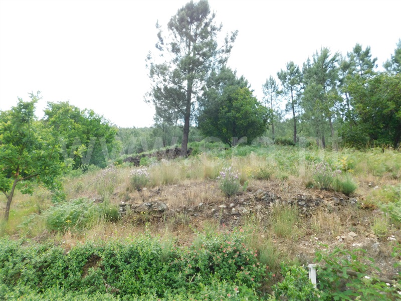 Quinta  Seia, Sazes da Beira - 1334097 - 4