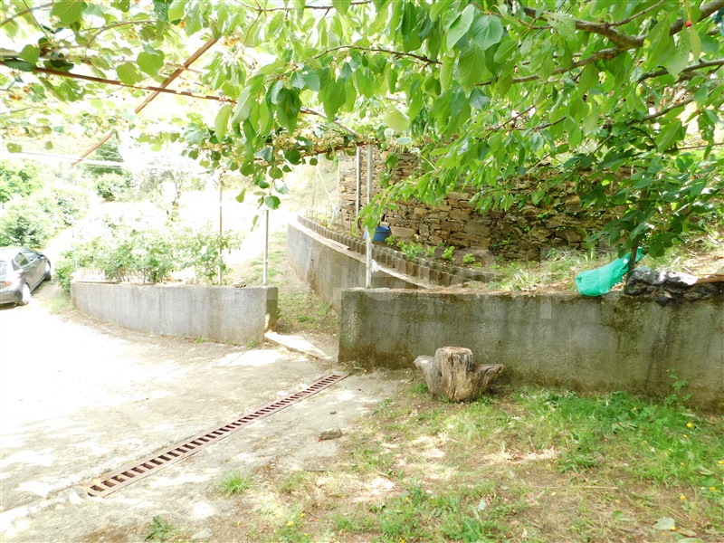 Quinta  Seia, Sazes da Beira - 1334097 - 11