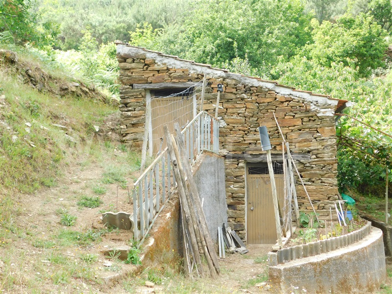 Quinta  Seia, Sazes da Beira - 1334097 - 13