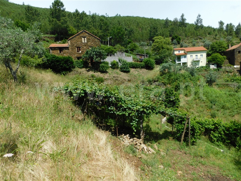Quinta  Seia, Sazes da Beira - 1334097 - 25