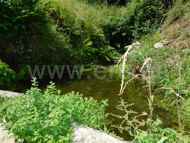 Quinta  Seia, Sazes da Beira - 1334097 - 26
