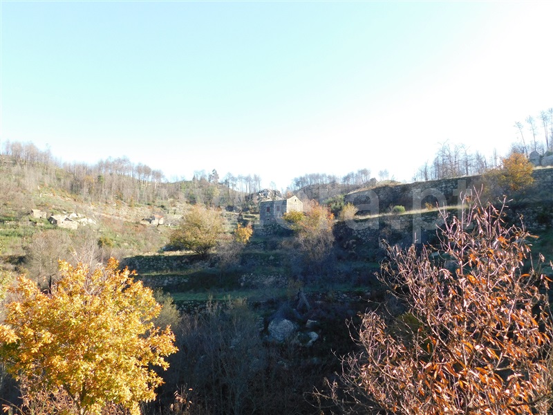 Quinta  Seia, Seia - 1058176 - 5