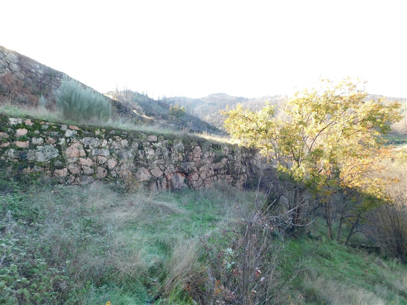 Quinta  Seia, Seia - 1058176 - 7
