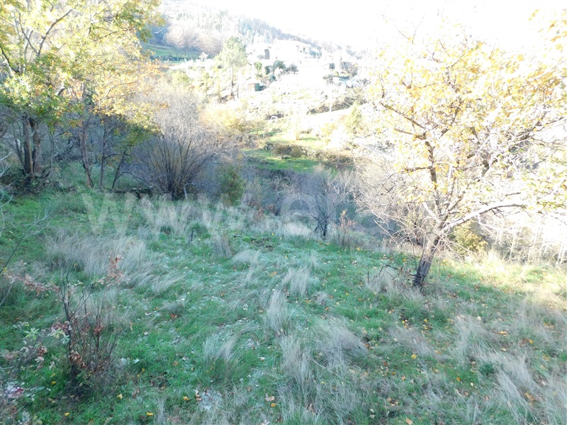Quinta  Seia, Seia - 1058176 - 8