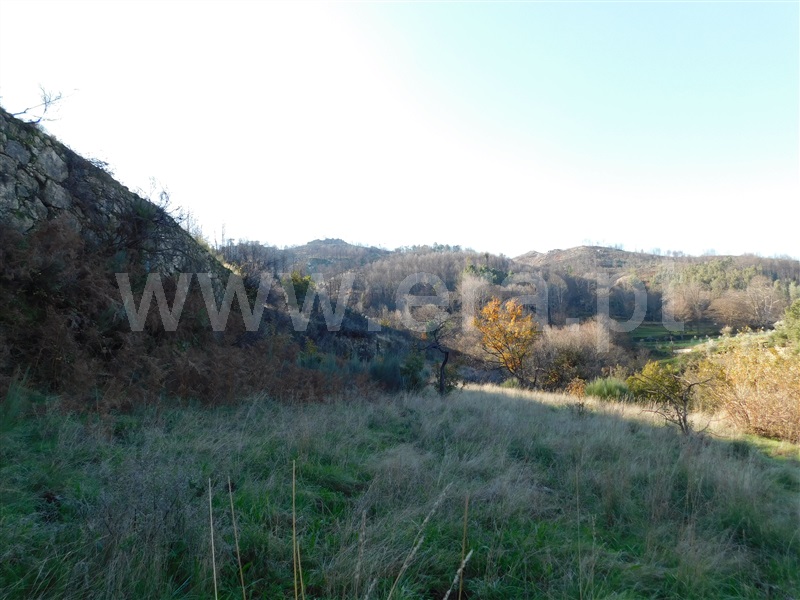Quinta  Seia, Seia - 1058176 - 11