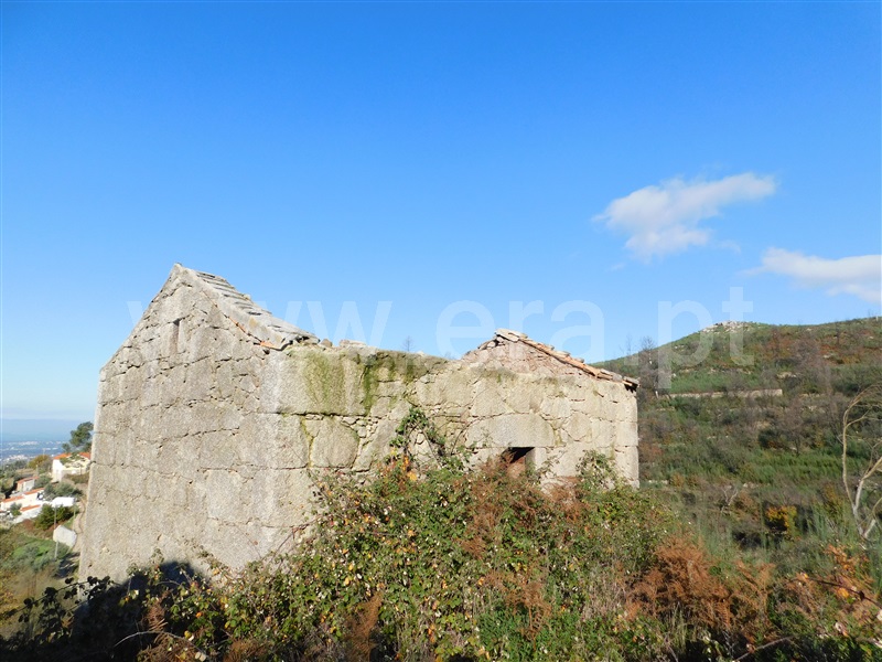 Quinta  Seia, Seia - 1058176 - 12