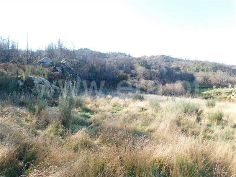 Quinta  Seia, Seia - 1058176 - 18