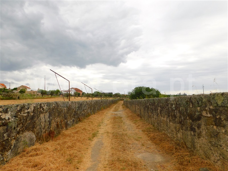 Quinta  Seia, Tourais e Lajes - 1254197 - 7