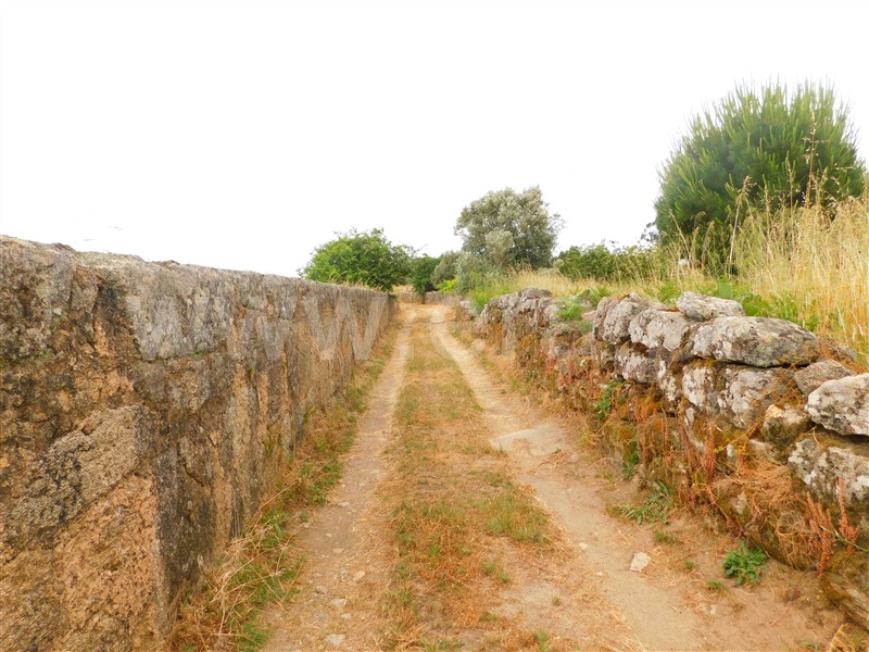 Quinta  Seia, Tourais e Lajes - 1254197 - 8