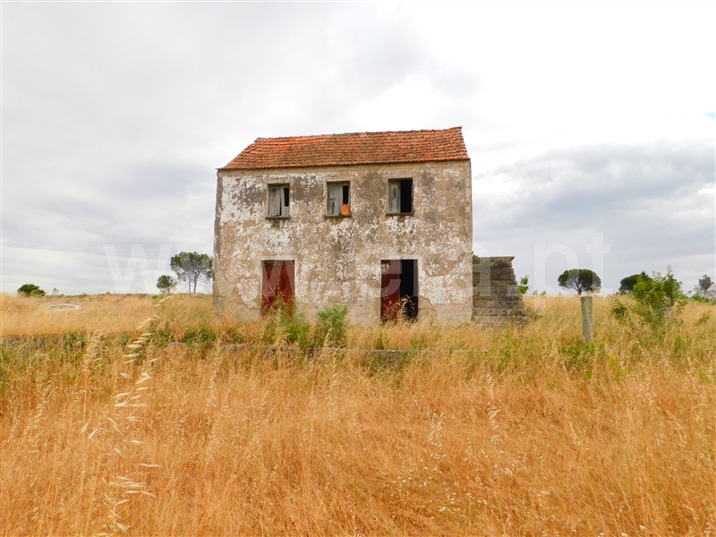 Quinta  Seia, Tourais e Lajes - 1254197 - 22
