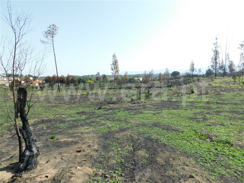 Quinta  Seia, Travancinha - 1293700 - 5