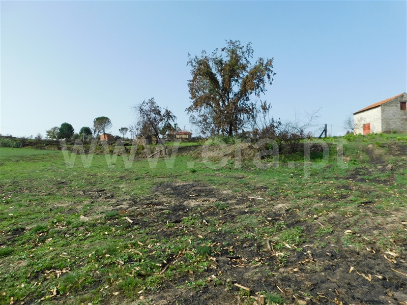 Quinta  Seia, Travancinha - 1293700 - 8