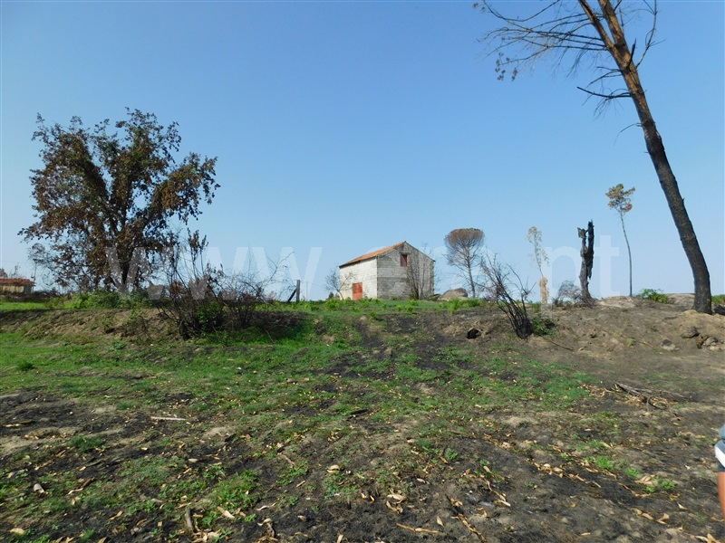 Quinta / Seia, Travancinha
