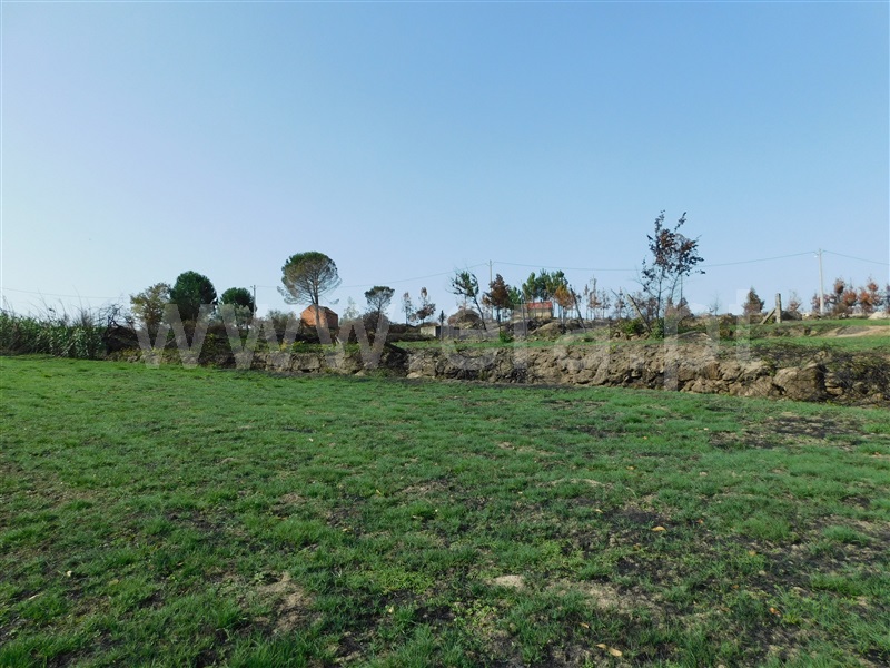 Quinta  Seia, Travancinha - 1293700 - 10