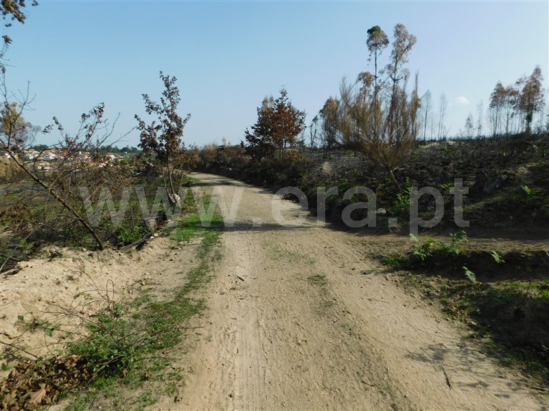 Quinta  Seia, Travancinha - 1293700 - 14