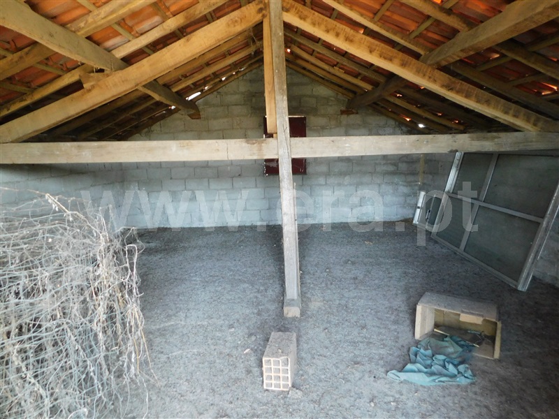 Quinta  Seia, Travancinha - 1293700 - 22