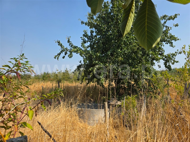 Quinta  Seia, Travancinha - 1503803 - 6