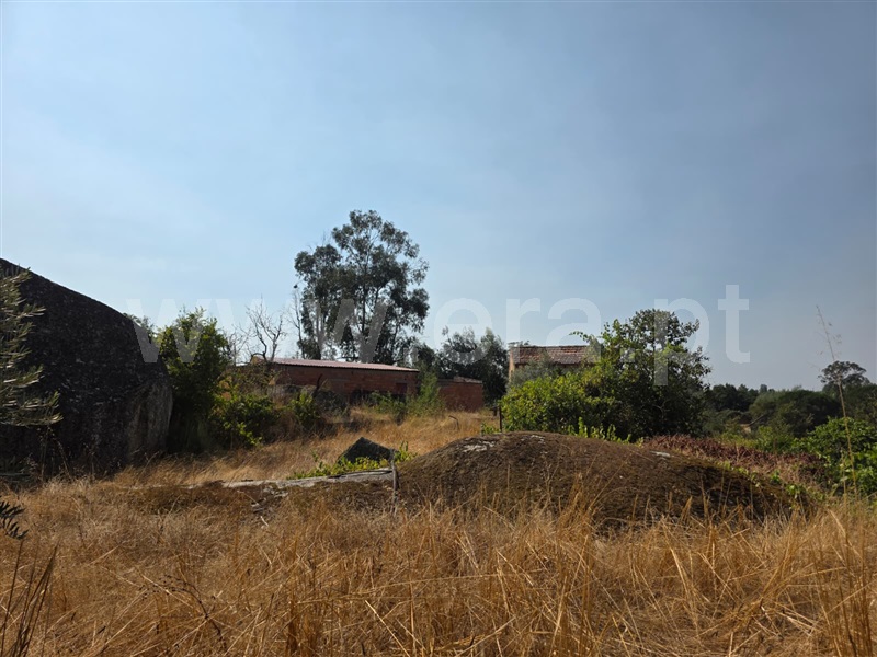 Quinta  Seia, Travancinha - 1503803 - 8