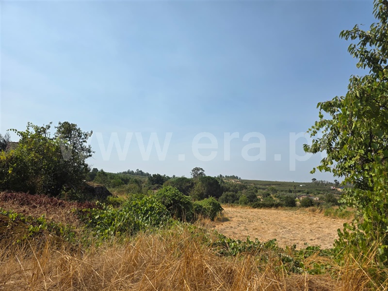 Quinta  Seia, Travancinha - 1503803 - 9