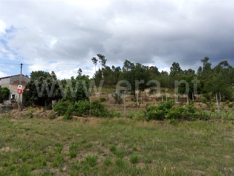 Terreno  Sertã, Sertã - 1258515 - 3