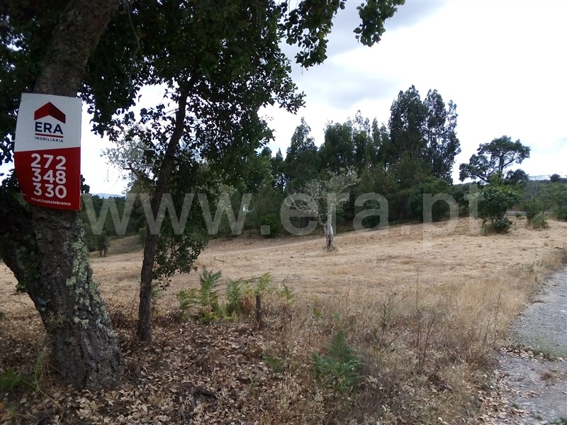 Terreno  Sertã, Sertã - 1258515 - 13