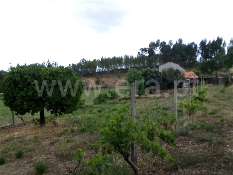 Terreno  Sertã, Sertã - 1258515 - 14