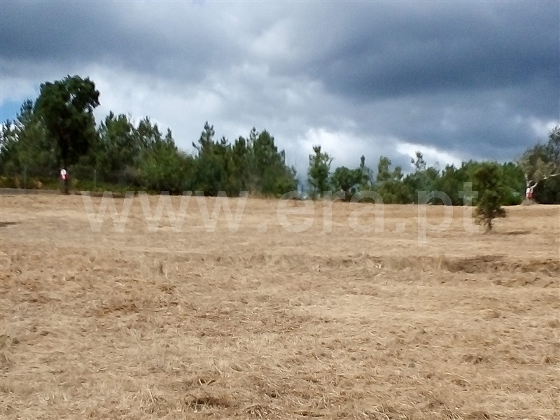 Terreno  Sertã, Sertã - 1258515 - 15