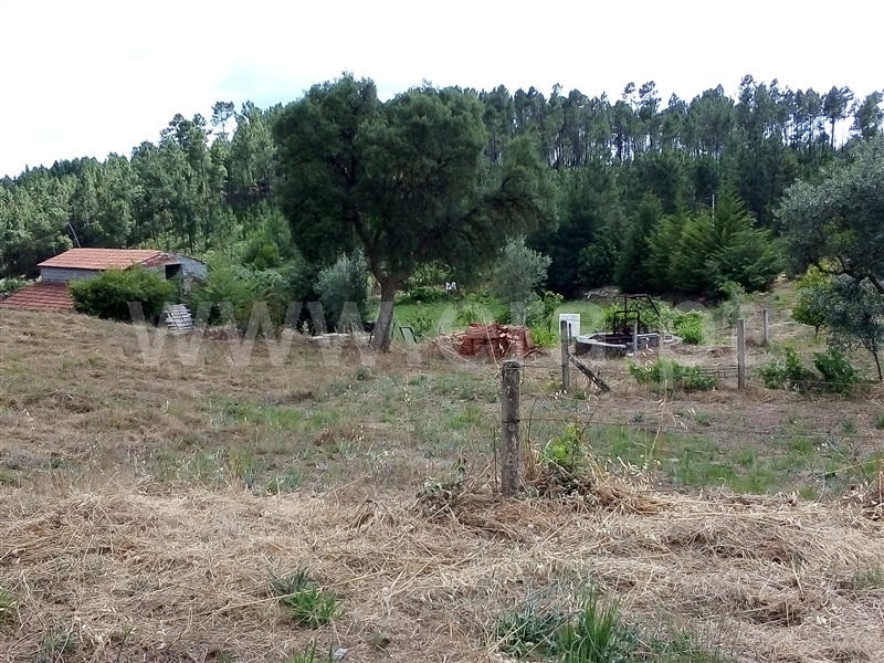 Terreno  Sertã, Sertã - 1258515 - 16
