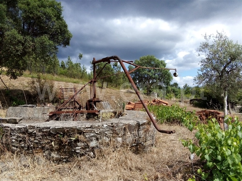 Terreno  Sertã, Sertã - 1258515 - 17