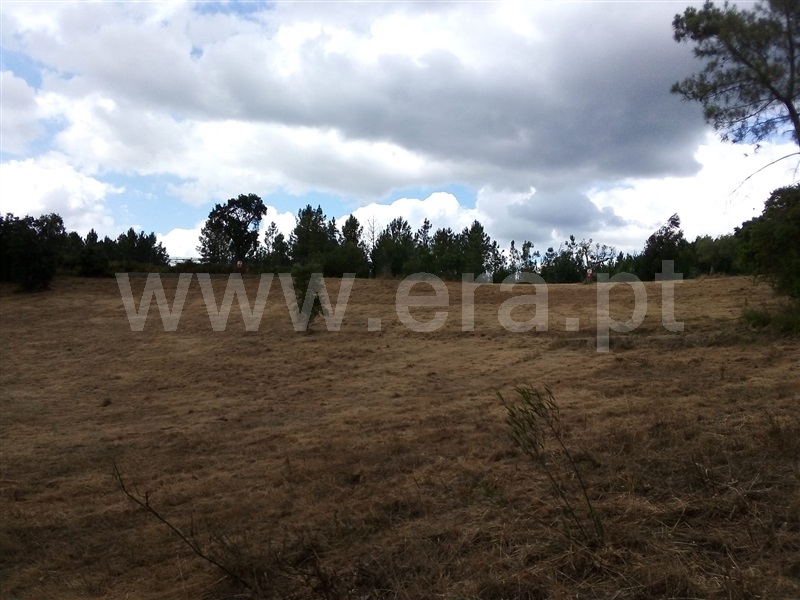 Terreno  Sertã, Sertã - 1258515 - 21