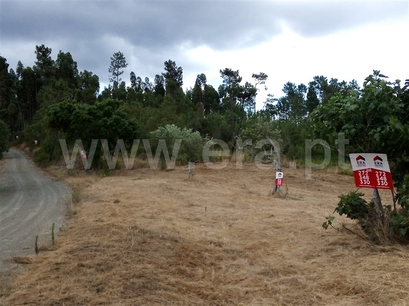 Terreno  Sertã, Sertã - 1258515 - 22