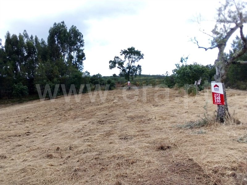 Terreno  Sertã, Sertã - 1258515 - 24
