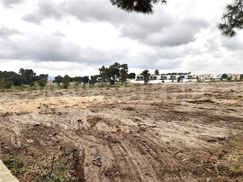 Quinta  Setúbal, Azeitão (São Lourenço e São Simão) - 1434160 - 2