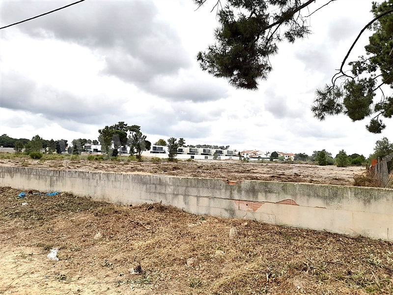 Quinta  Setúbal, Azeitão (São Lourenço e São Simão) - 1434160 - 6