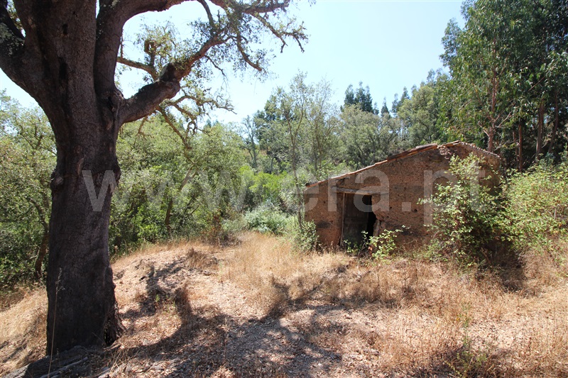 Quinta  Silves, São Marcos da Serra - 1031368 - 3
