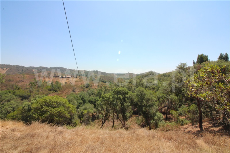 Quinta  Silves, São Marcos da Serra - 1031368 - 13