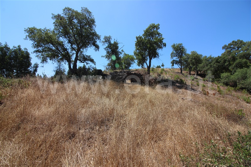 Quinta  Silves, São Marcos da Serra - 1031368 - 14