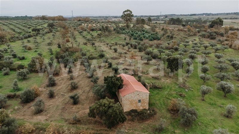 Quinta  Fundão, Alpedrinha - 1447684 - 1