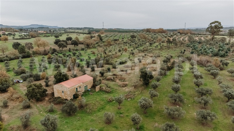 Quinta  Fundão, Alpedrinha - 1447684 - 2