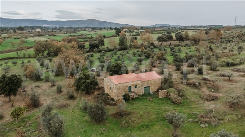 Quinta  Fundão, Alpedrinha - 1447684 - 3