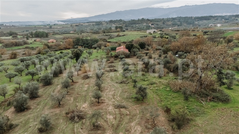 Quinta T1 / Fundão, Alpedrinha