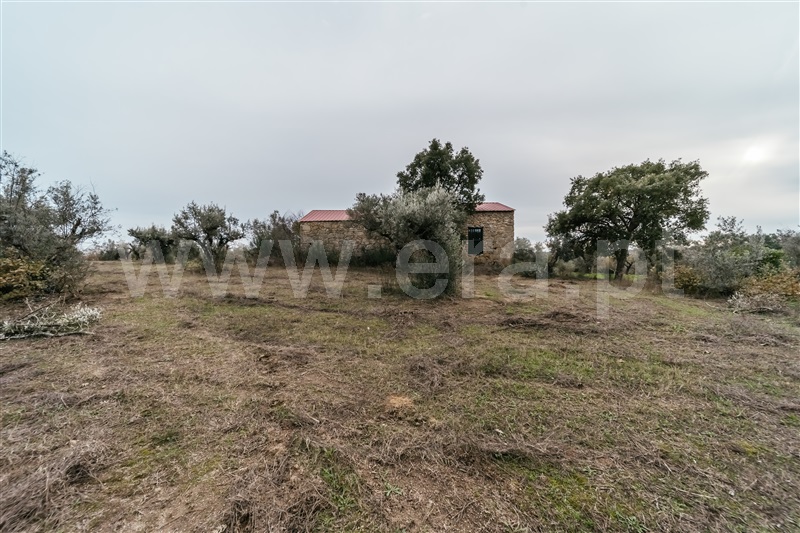Quinta  Fundão, Alpedrinha - 1447684 - 9