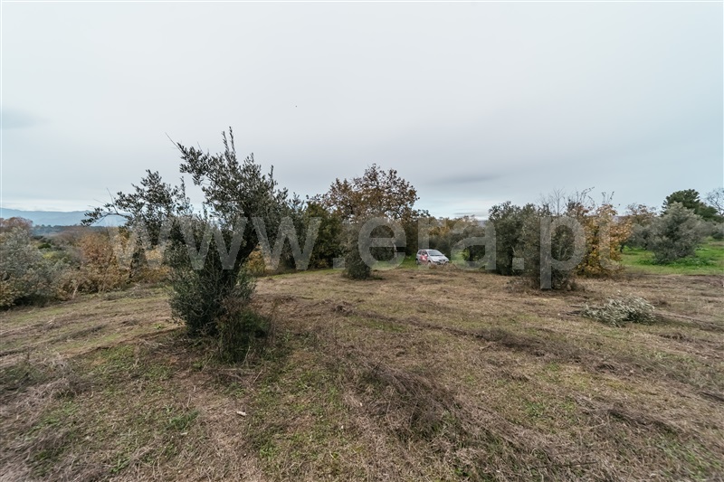 Quinta  Fundão, Alpedrinha - 1447684 - 11